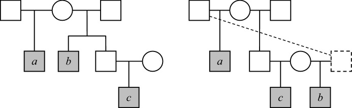 Fig. 13