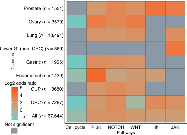 Figure 7