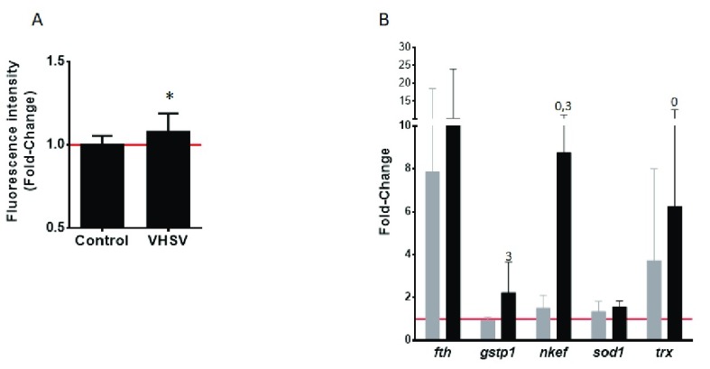 Figure 10. 