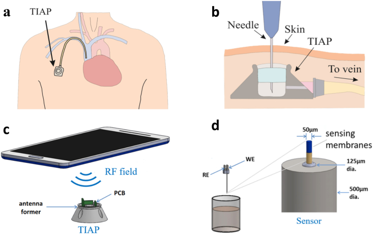 Fig. 1