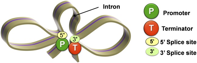 Fig. 6.