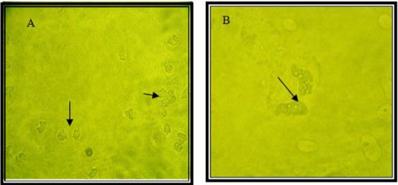 Fig. 2: