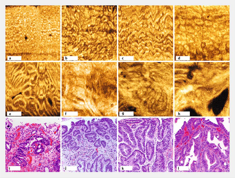 ►Fig.3