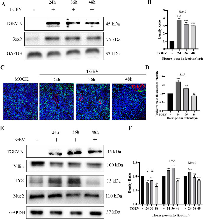 FIG 4