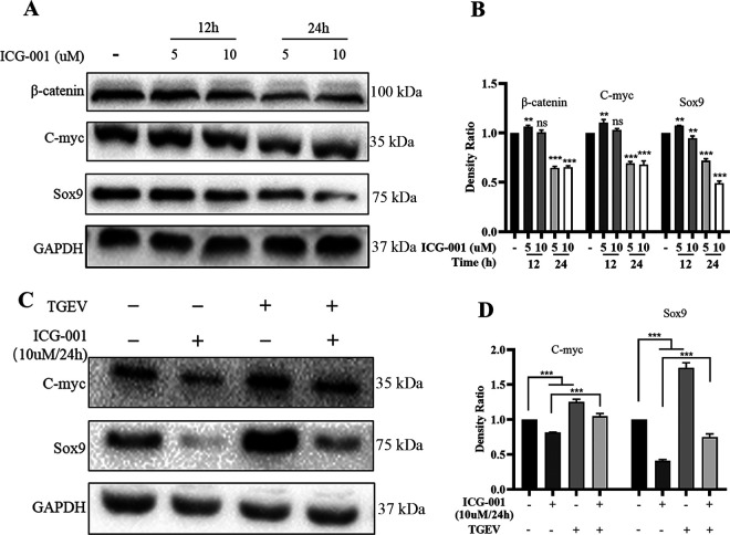 FIG 6