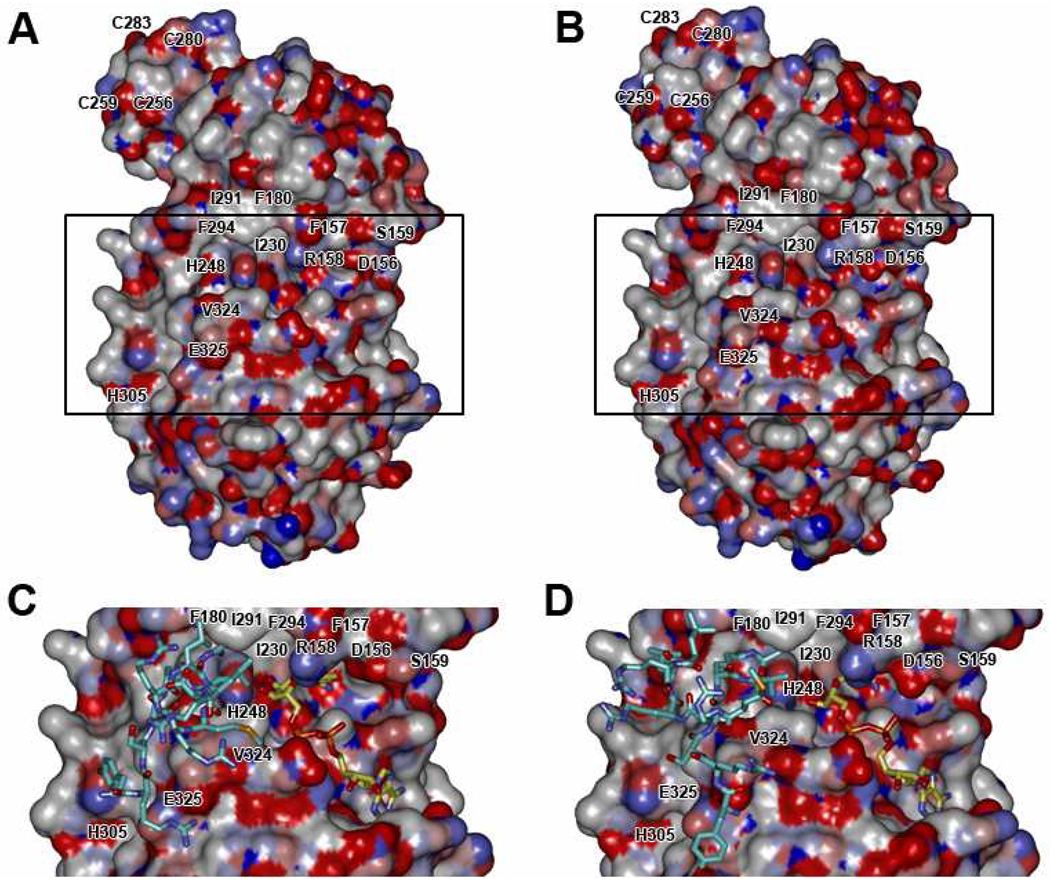 Figure 9