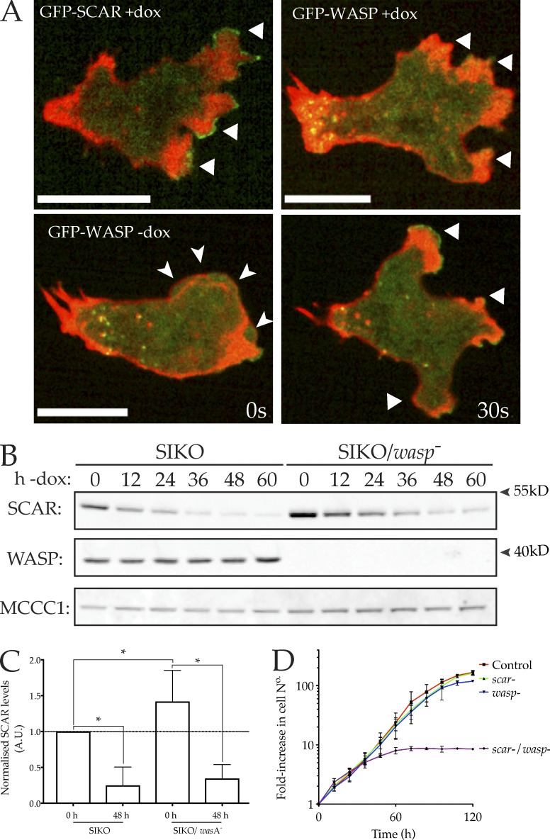 Figure 3.