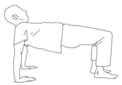 graphic file with name fneur-10-00902-i0011.jpg