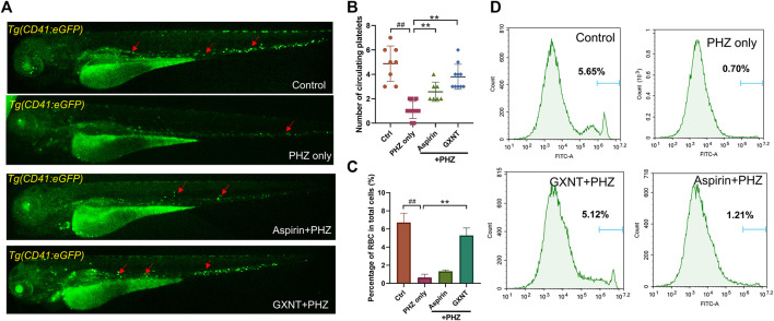 FIGURE 2