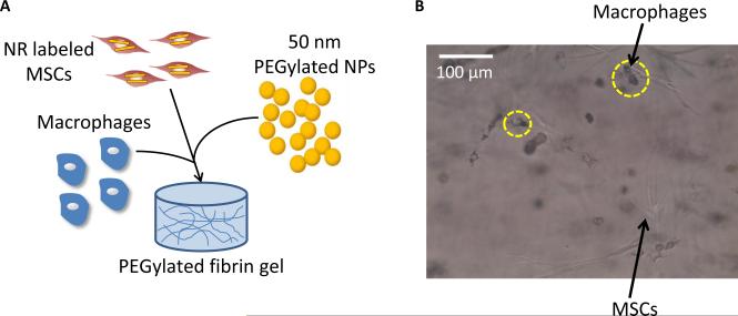 Fig 5