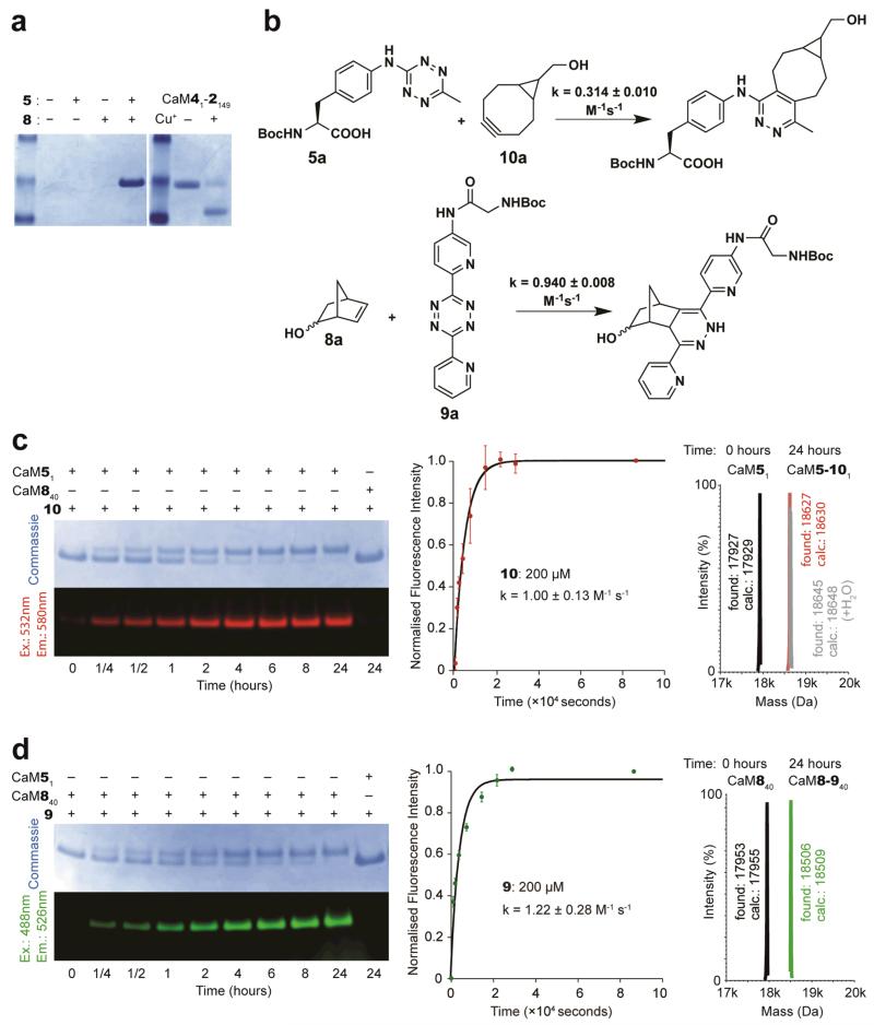 Figure 5