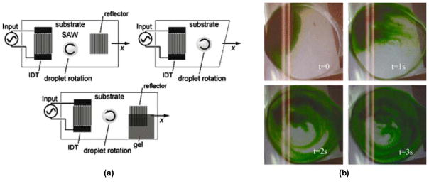 Fig. 13