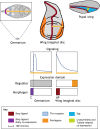 Fig. 3.