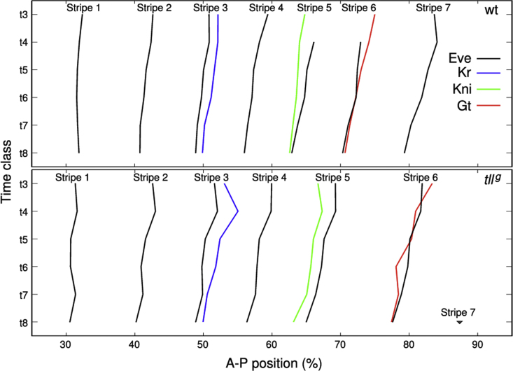 Supplementary Fig. S5