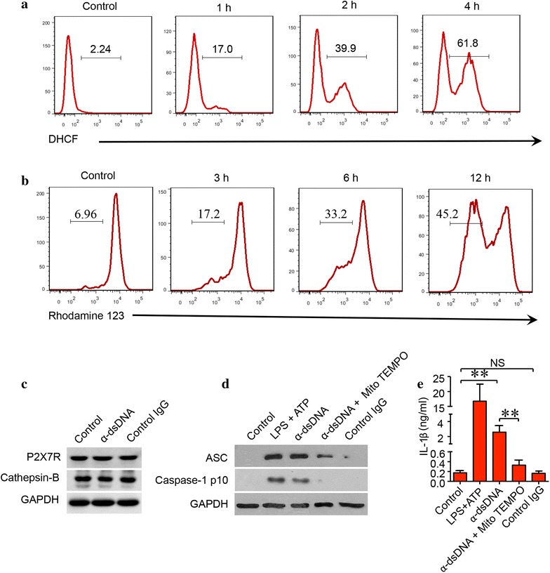 Fig. 3