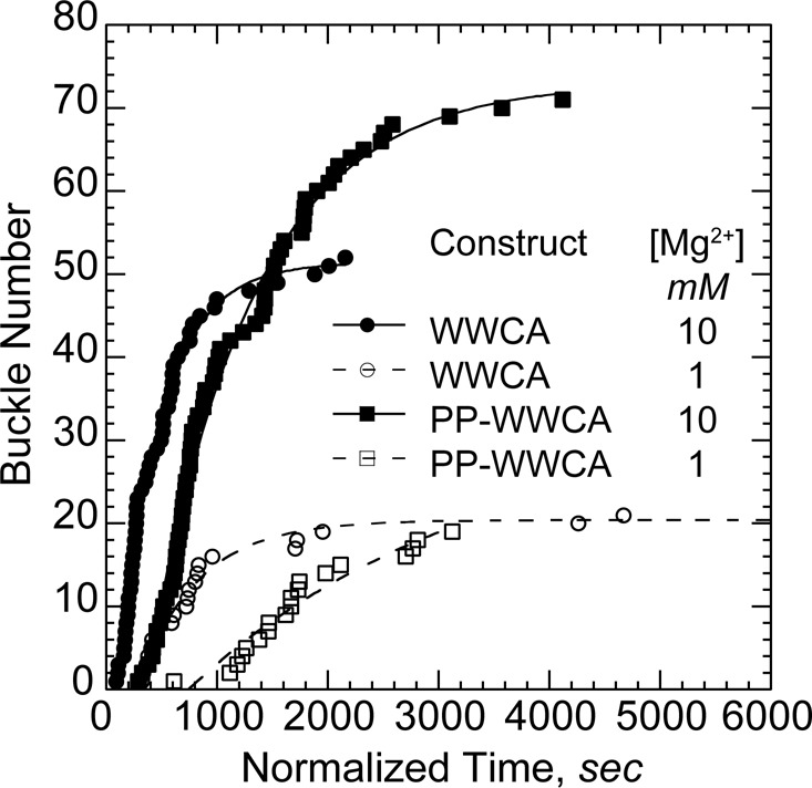 FIGURE 6: