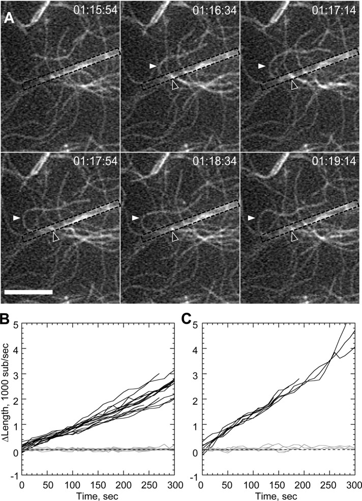 FIGURE 3: