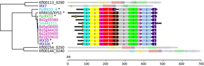 Figure 4