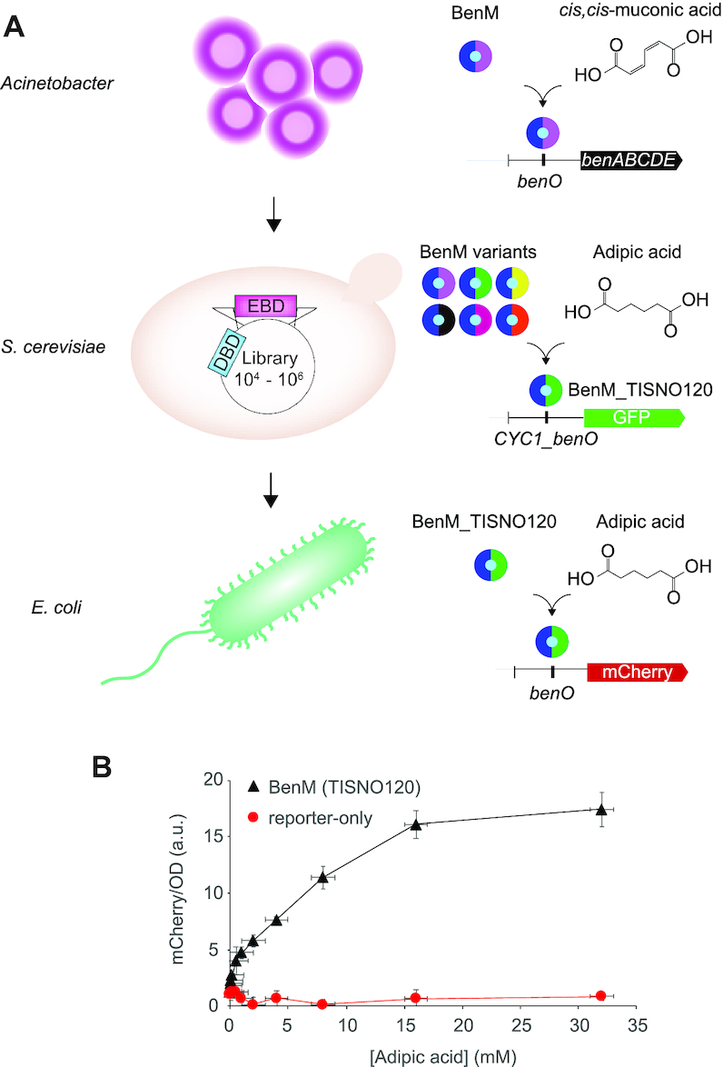 Figure 5.