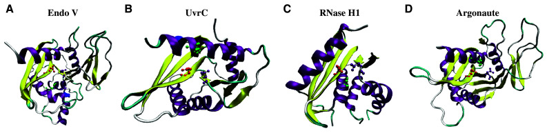 Fig. 4