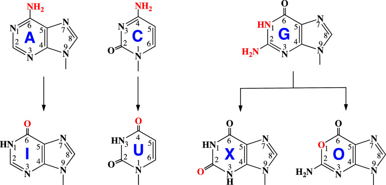 Fig. 1