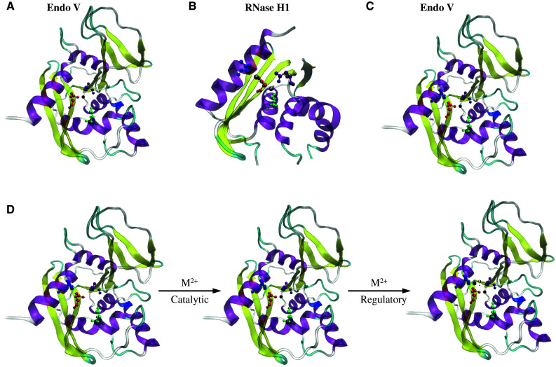 Fig. 6