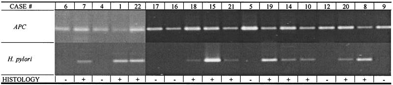 FIG. 1.