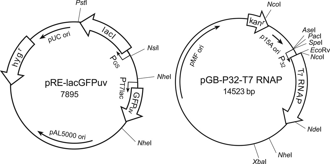 Fig. 1