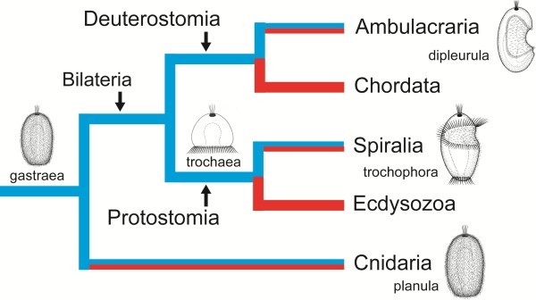 Figure 14