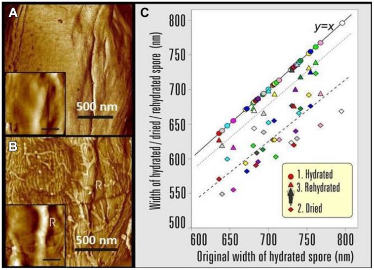 FIGURE 15