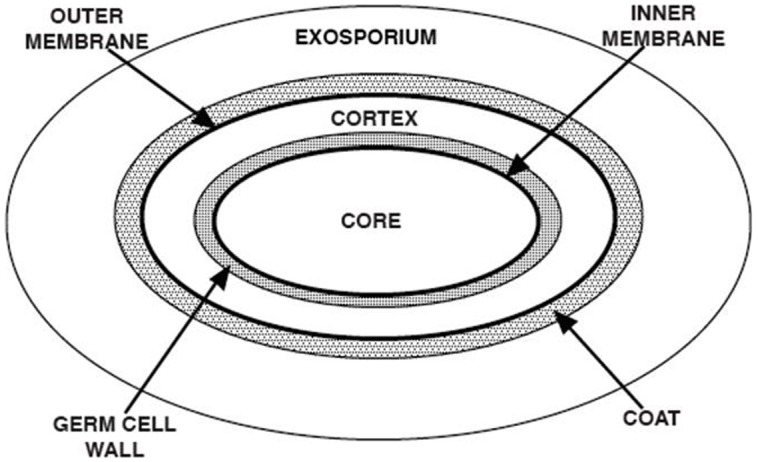 FIGURE 16