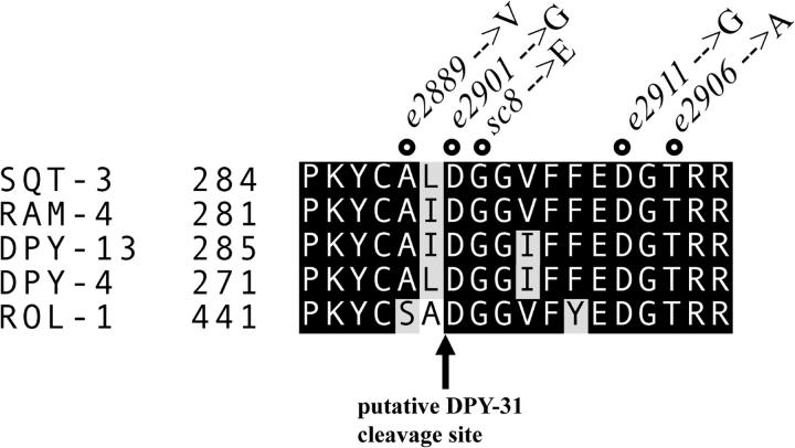 Figure 7.—