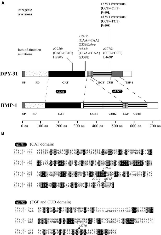 Figure 3.—