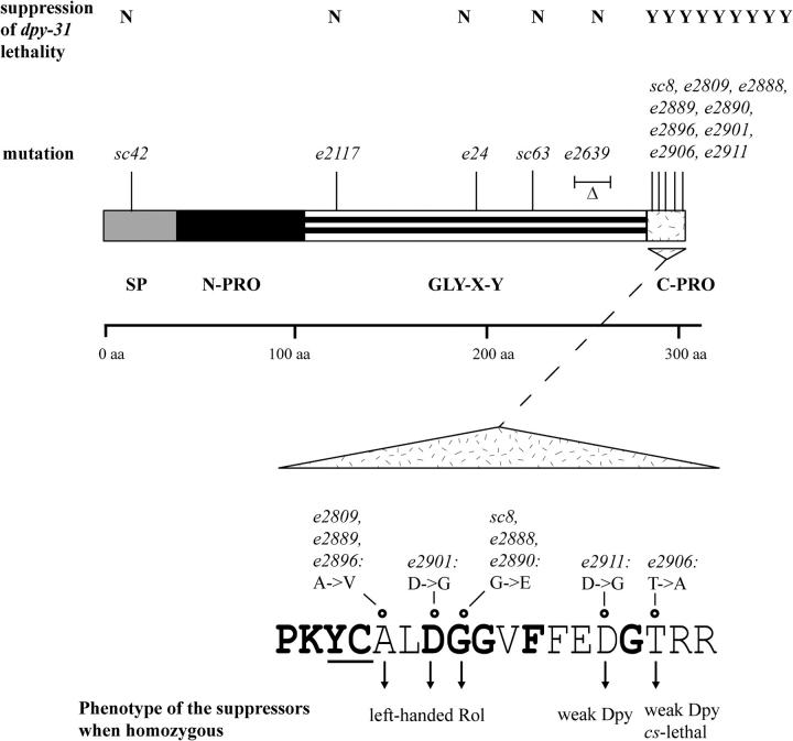 Figure 6.—