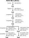 Figure 2—figure supplement 1.