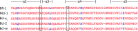 Figure 5—figure supplement 3.