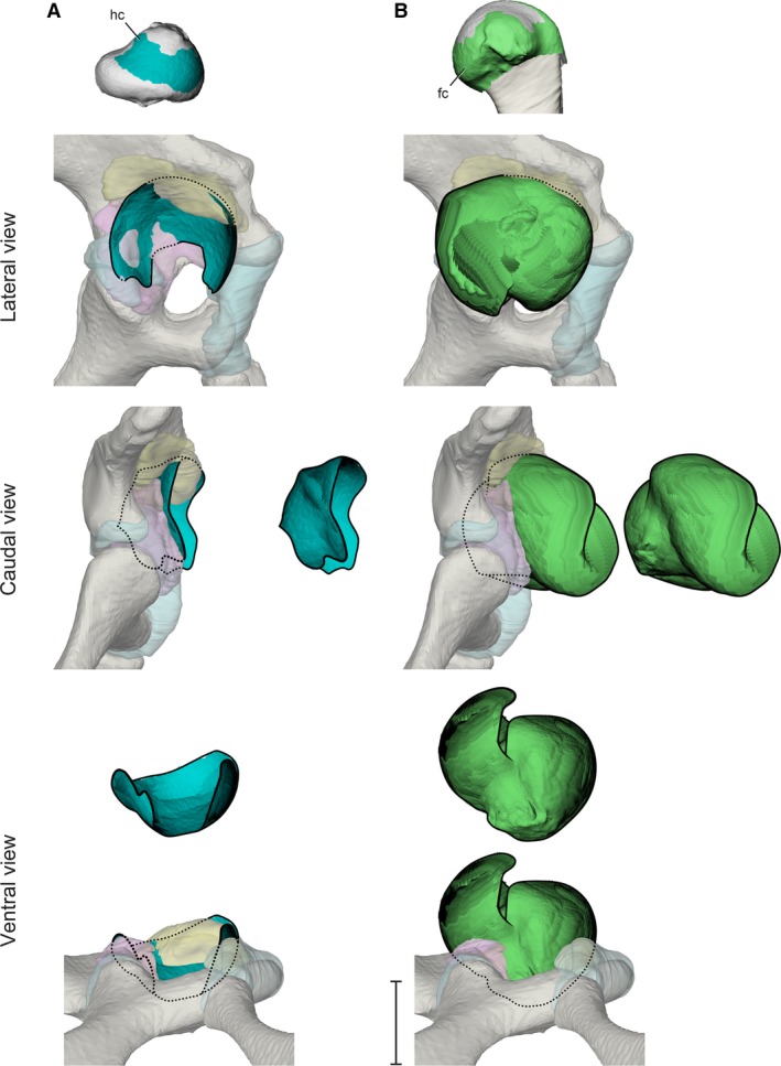 Figure 5