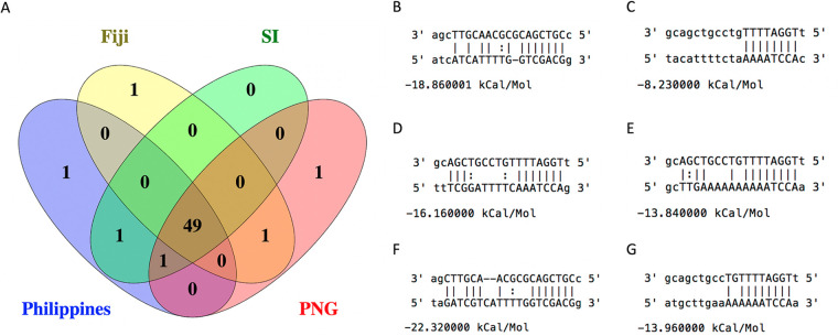 FIG 7