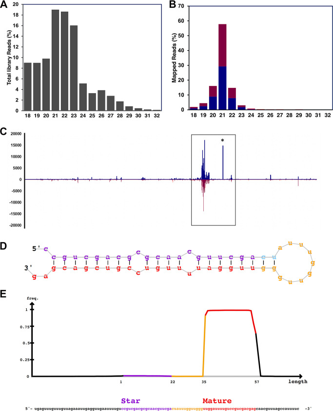 FIG 6