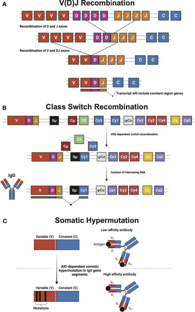 Figure 1