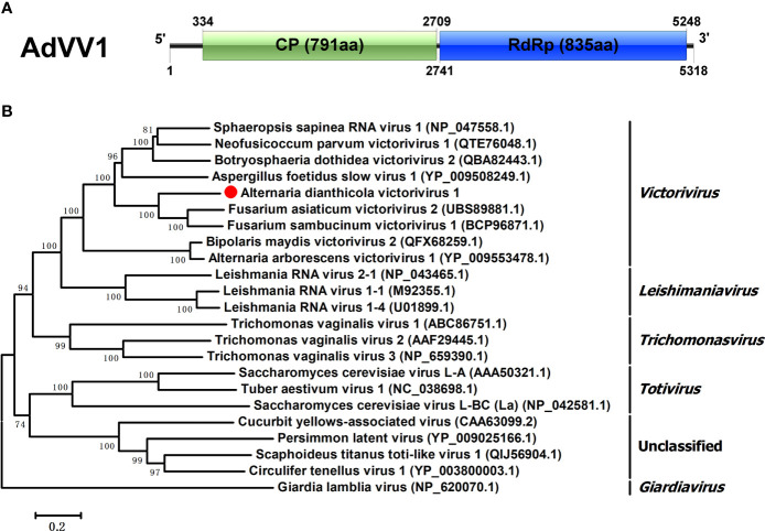 Figure 4