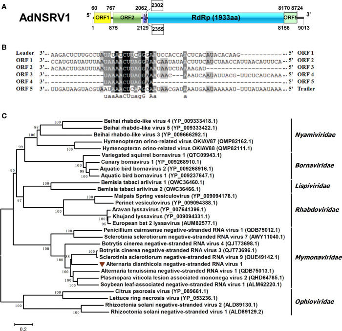 Figure 6