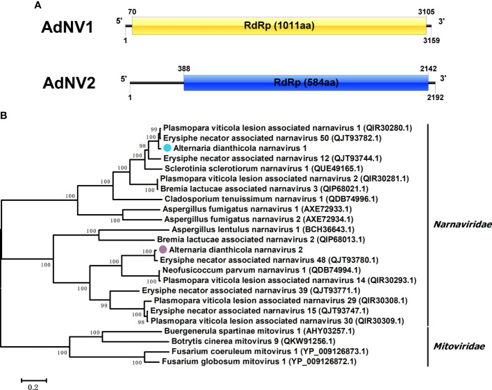 Figure 2