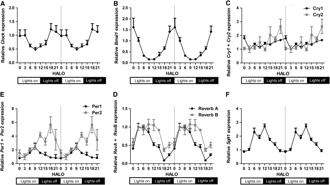 FIGURE 1 