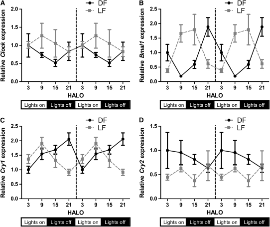 FIGURE 3 