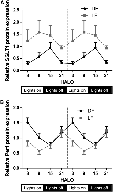 FIGURE 5 