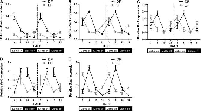 FIGURE 4 