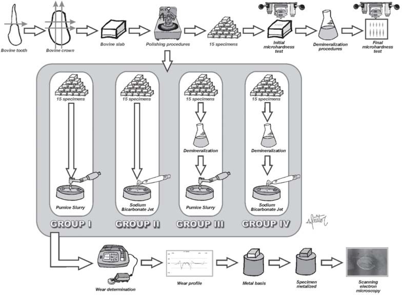 FIGURE 1