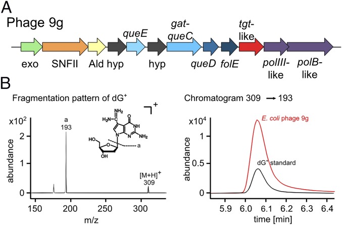 Fig. 6.