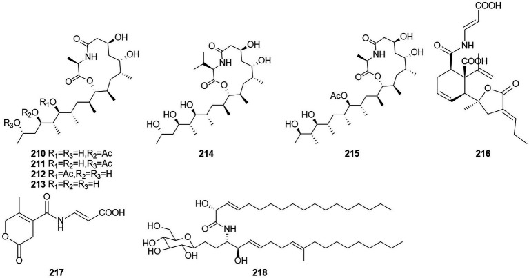 Figure 13